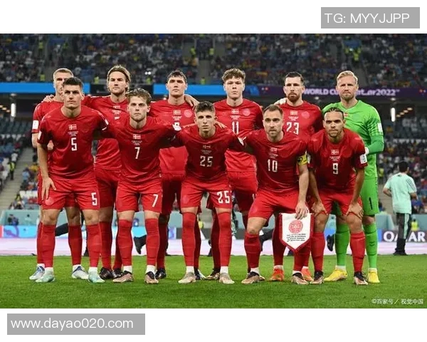 西安网球队在世界杯中的团队协作表现分析与点评